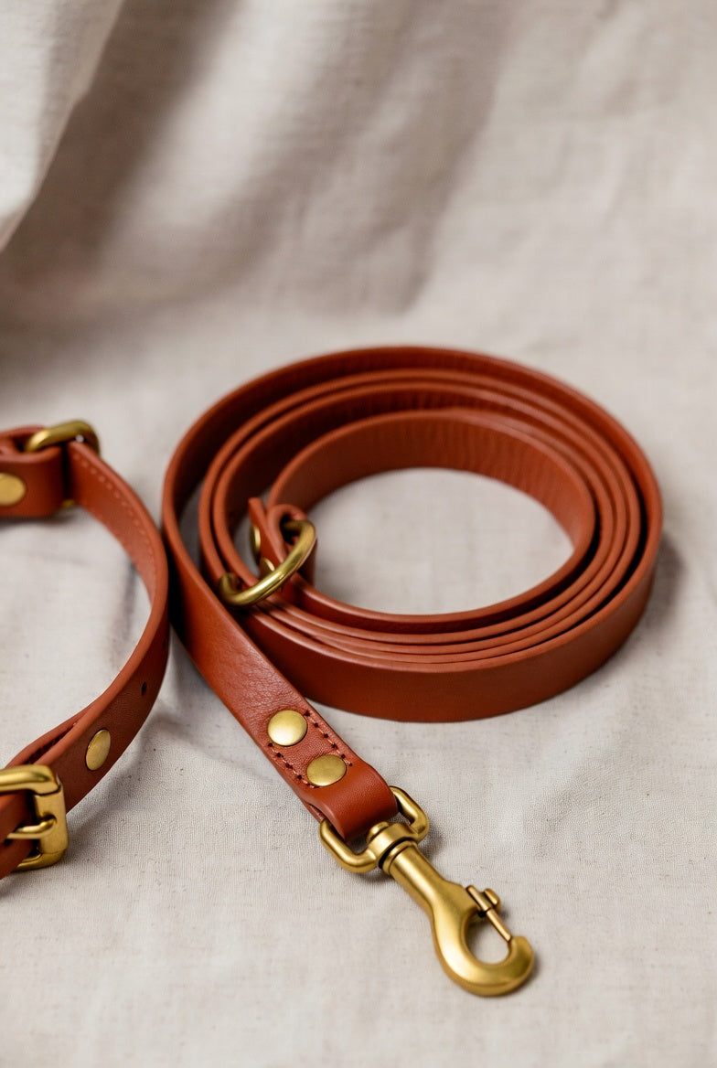 Die Firenze Luxus-Hundeleine aus italienischem Leder