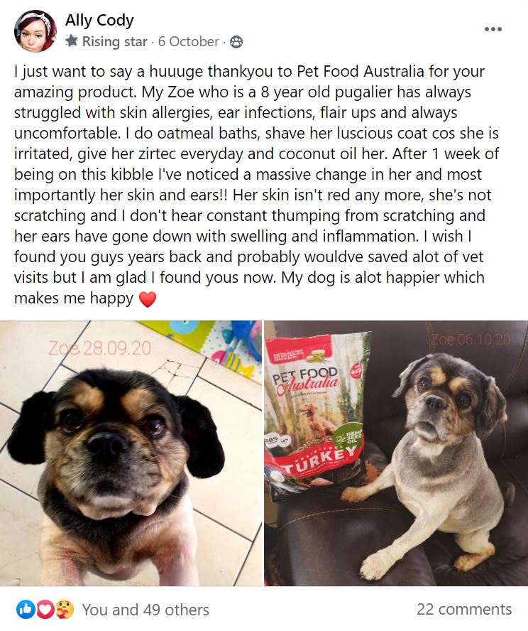 Puppy Food — Chicken & Duck