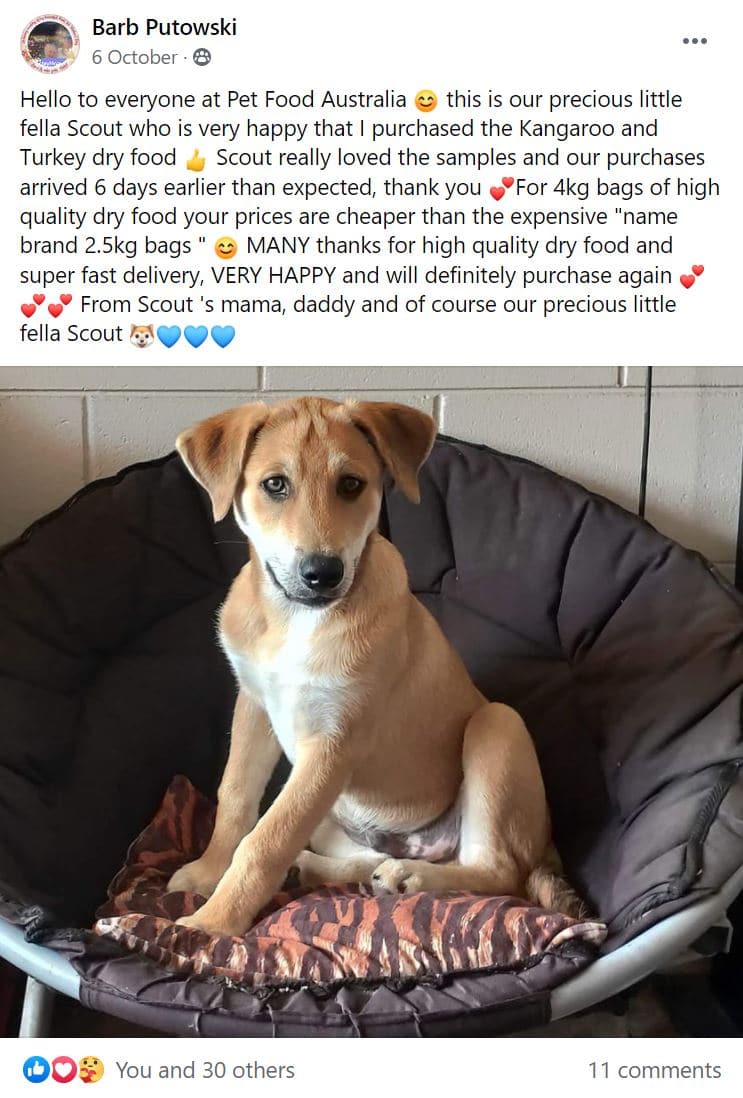 Puppy Food — Chicken & Duck