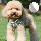 Mesh Walking Harness & Lead Set for Cats & Small Dogs