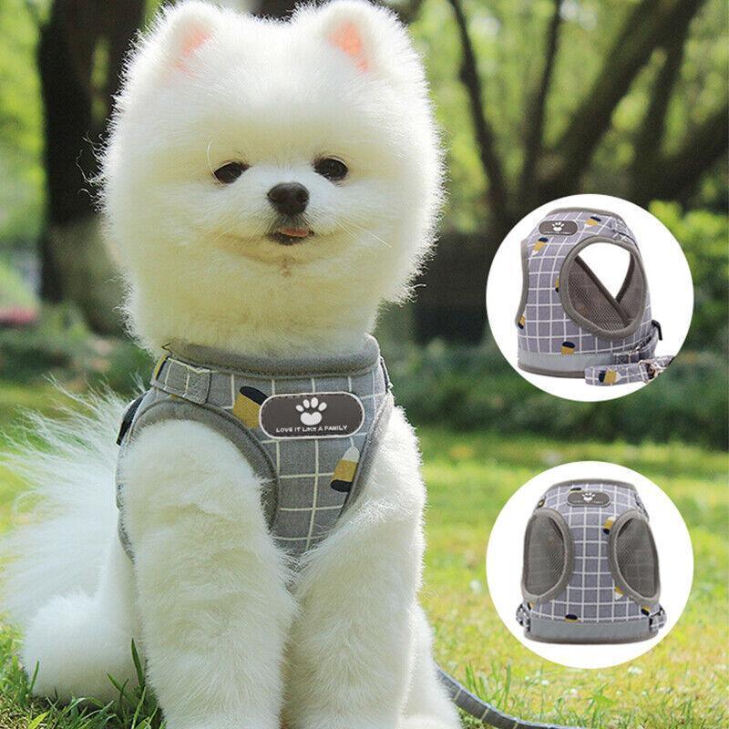 Mesh Walking Harness & Lead Set for Cats & Small Dogs