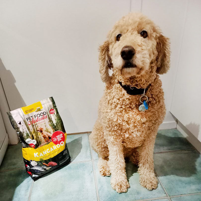 Kangaroo & Ocean Fish Dry Dog Food