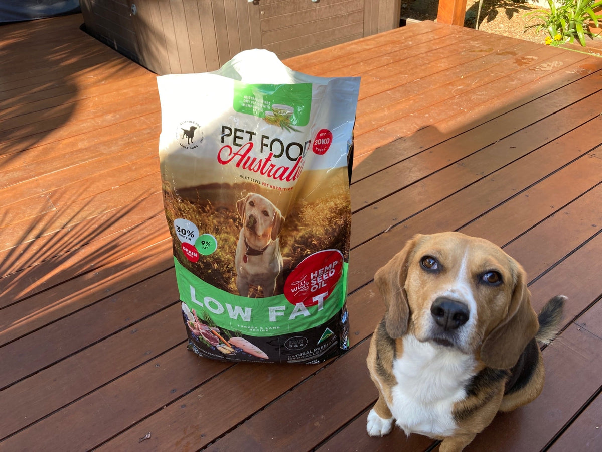 Turkey & Lamb Dry Dog Food — Low Fat