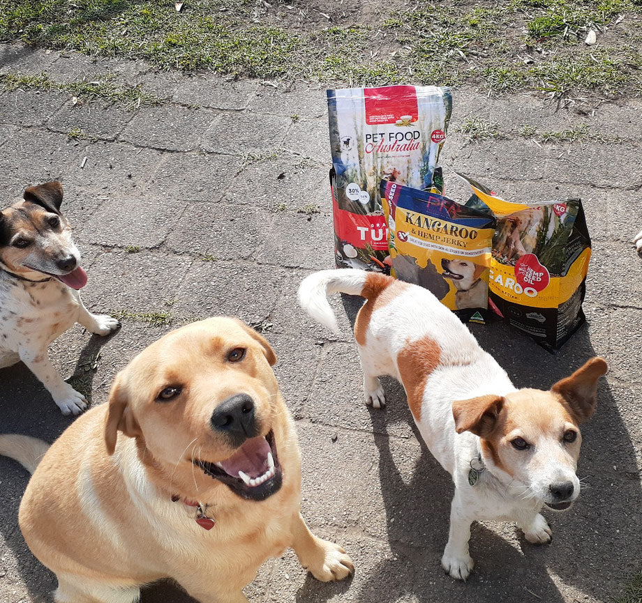 Kangaroo & Ocean Fish Dry Dog Food