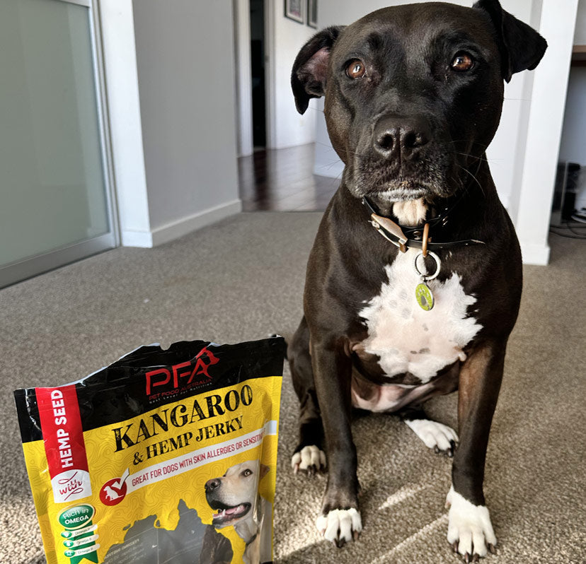 Kangaroo Jerky Treats — 500g