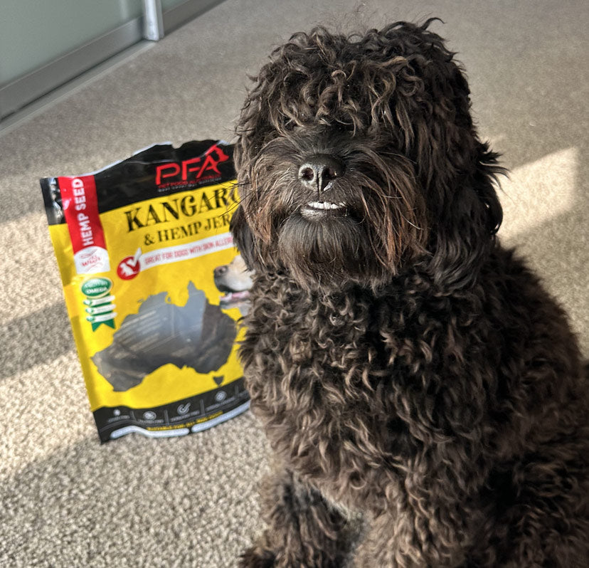 Kangaroo Jerky Treats — 500g