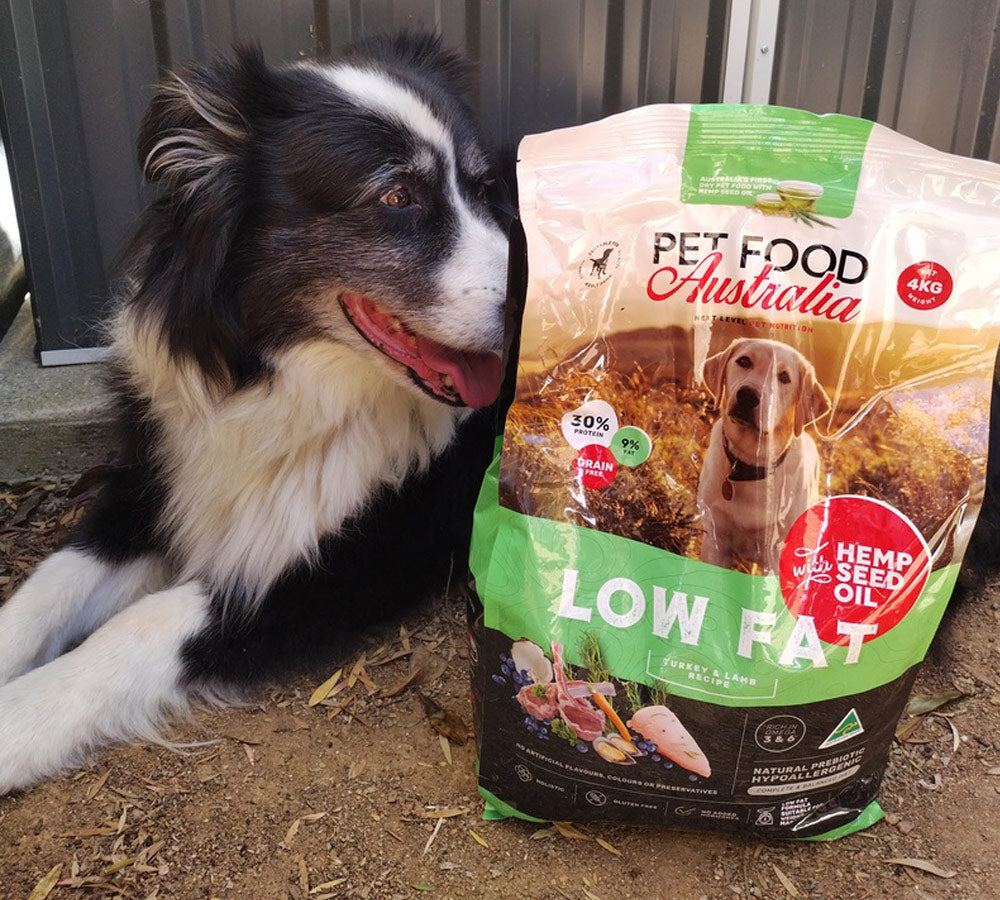 Turkey & Lamb Dry Dog Food — Low Fat