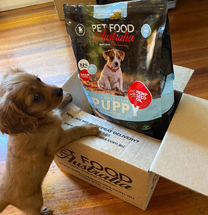 Puppy Food — Chicken & Duck