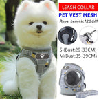 Mesh Walking Harness & Lead Set for Cats & Small Dogs
