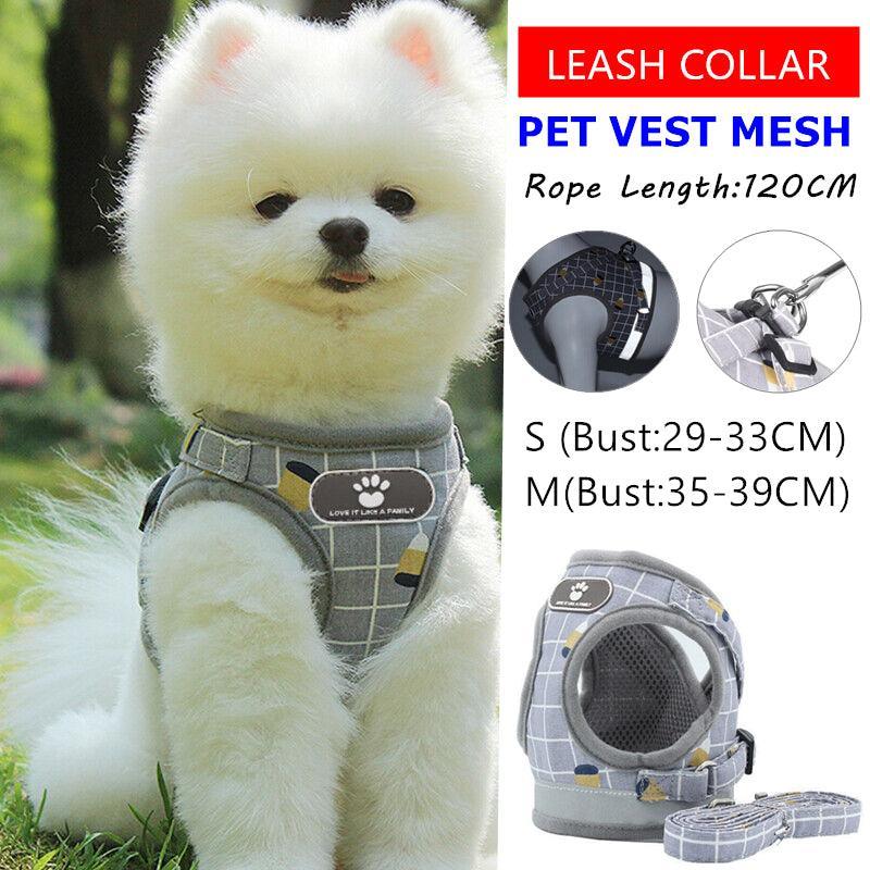 Mesh Walking Harness & Lead Set for Cats & Small Dogs