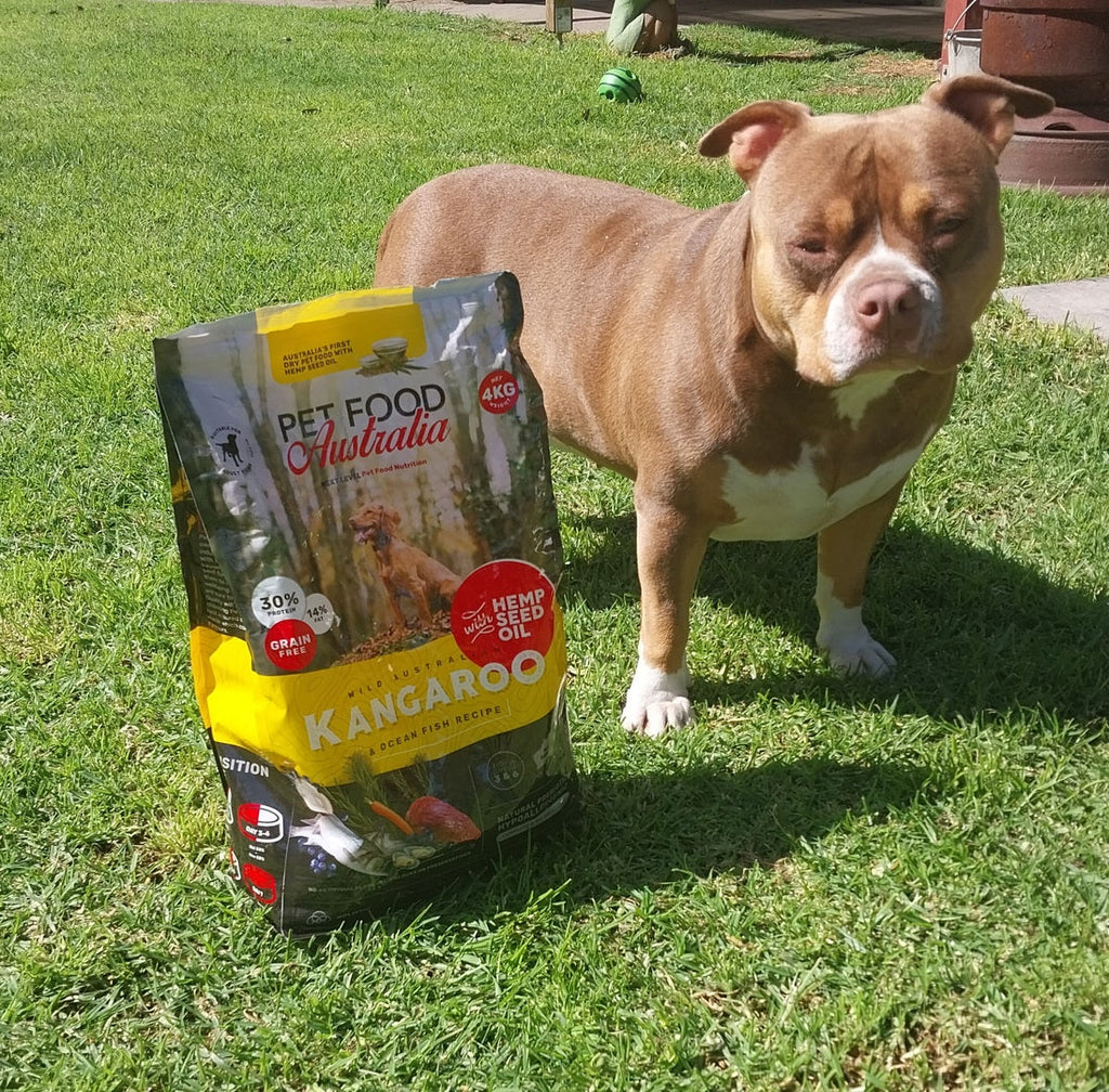 Kangaroo & Ocean Fish Dry Dog Food