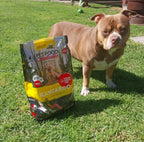 Kangaroo & Ocean Fish Dry Dog Food