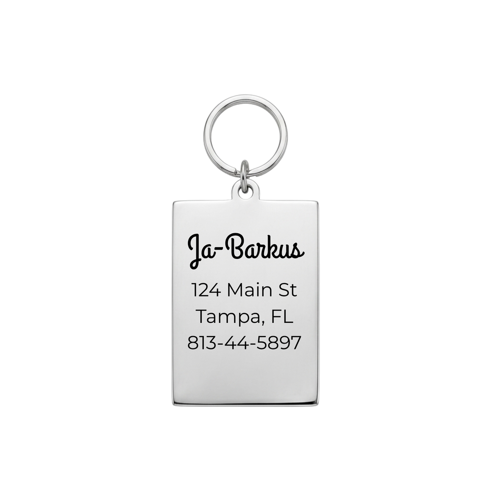 Hanged Man Mystic Tarot Pet ID Tag & Charm