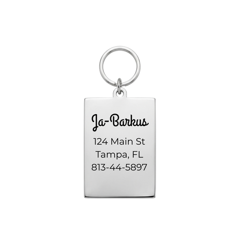 "Hanged Man" Tarot Pet ID Tag & Charm