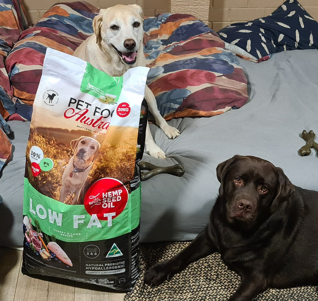 Turkey & Lamb Dry Dog Food — Low Fat